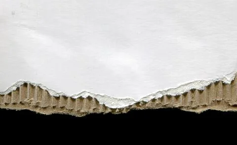 Blank white cardboard texture background Stock Photos