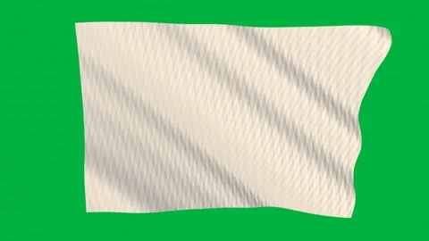 Blank white flag waving in the wind on a green screen Stock-Footage 343129774