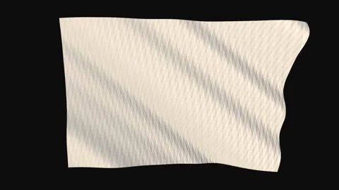 Blank white flag waving in the wind on a black background 스톡 동영상 343208232