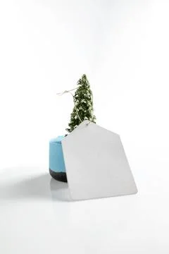 A blank white paper gift tag shaped like a house is tied to a small miniatu.. Stock Photos
