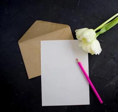 Blank white postcard flyer. Envelope kraft whith pensil and tulips. Flat lay. Foto stock