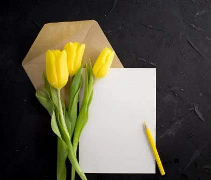 Blank white postcard flyer. Envelope kraft whith pensil and tulips. Flat lay. Foto stock