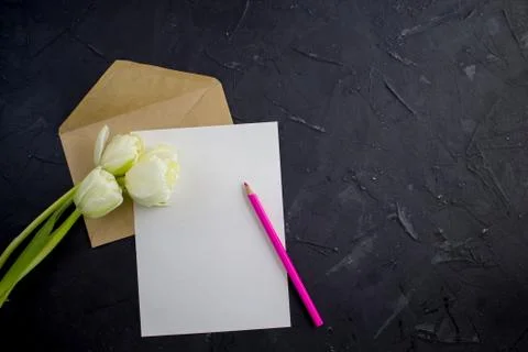 Blank white postcard flyer. Envelope kraft whith pensil and tulips. Flat lay. Stock-Fotos
