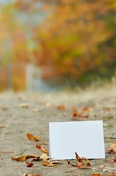 Blank white sheet of paper Stock Photos