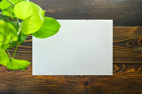 A blank white sheet of paper on a rustic dark wooden background, decorated .. Stock Photos