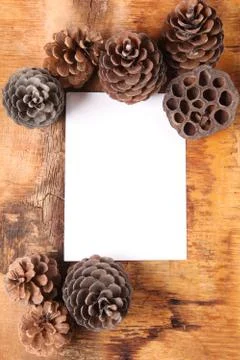 Blank white sheet, surrounded by cones on a background of aged wooden board Stock Photos