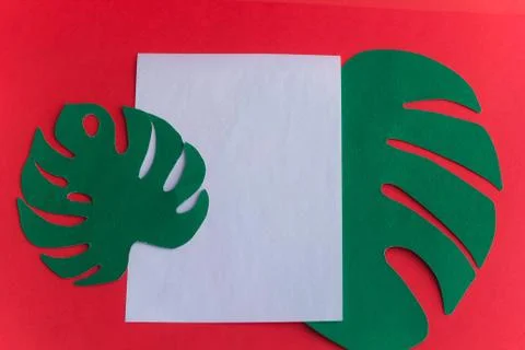 Blank white space for text on red background with monstera leaves out of pape Foto stock