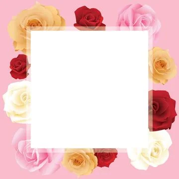 Blank white square frame with roses various colors on pink background Stockillustratie