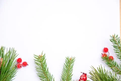 A blank white surface surrounded by fresh pine branches and vibrant red berri Stock Photos