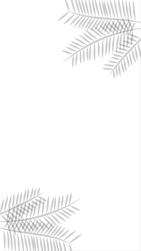 Blank white vertical background animation with palm leaf shadows Stock Footage 319206571