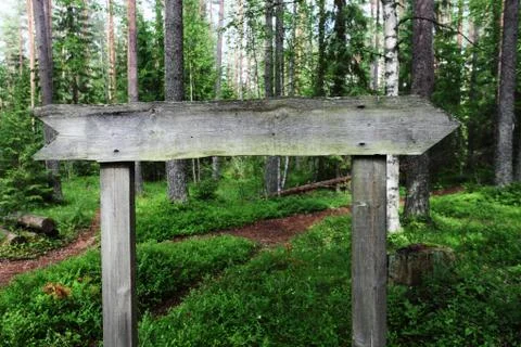 Blank wooden pointer in the woods Stock Photos