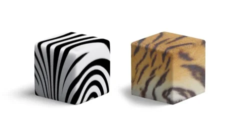 Blank zebra and tiger surface cube mockup, looped rotation Stock Footage 172142257