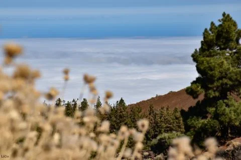 Blanked of clouds Stock Photos