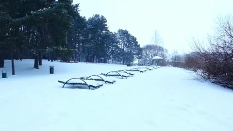 A blanket of snow envelops the park, where benches and trees stand still under t Video stock 344029079