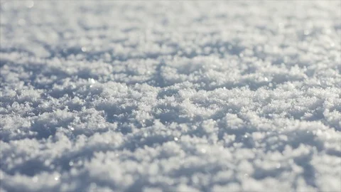 Blanket of snow Stock Footage 71255242