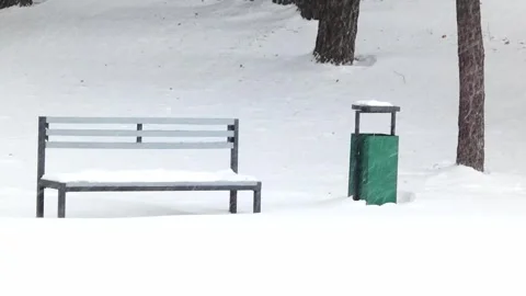 A blanket of snow gracefully envelops both a park bench and a trash bin, creatin Stock Footage 344029578