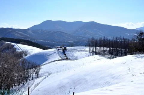 Blanket of snow Stock Photos