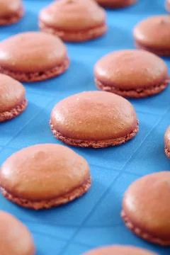 Blanks for the macaroons close up. Stock Photos