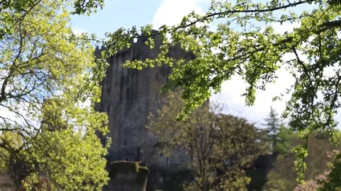 Blarney Castle Rack Focus from Branch Video stock 88961553