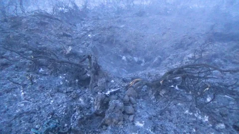 The blast crater was steaming Stock Footage 99504671