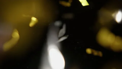 A Blast Of Silver And Gold Confetti Stock Footage 233461069