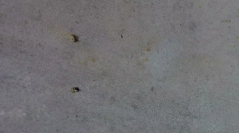 Blasting Off from a Launch Pad Video stock 46266573