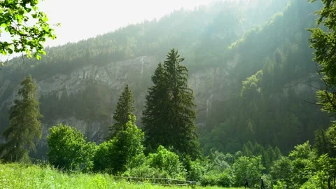 BLAUSEE, SWITZERLAND: Misty alpine cliffs and pine trees in the valley Stock Footage 343856283