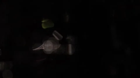 The blaze of brilliant lights overflowed. Vidéo 318575965