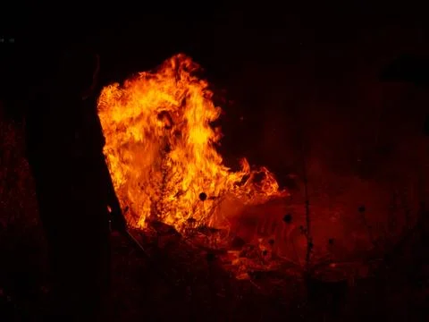 Blaze fire flame texture background Stock Photos