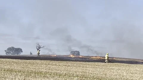 Blaze rips through Ulster field made famous by the music star Rihanna Stock Footage 206111836