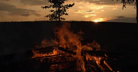 Blazing Campfire Burning During Summer Evening.  Stock Footage 113664640