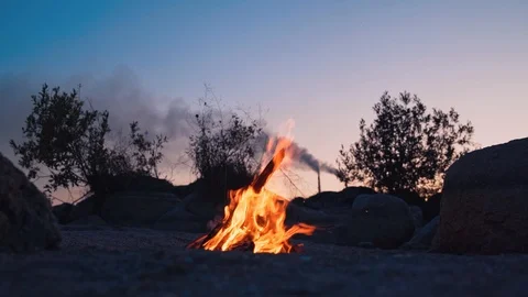 Blazing campfire burning at summer evening. Burning orange flames Vidéo 121707040