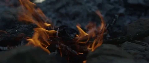 Blazing campfire at campsite Stock Footage 69199405