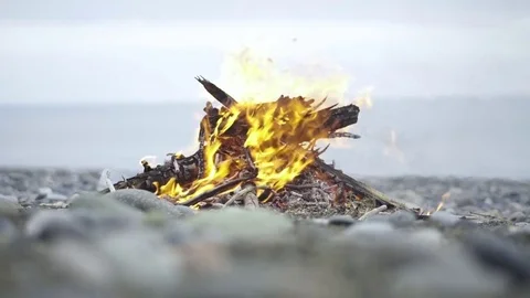 A blazing campfire at campsite 스톡 동영상 72502242