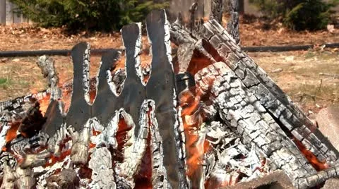 Blazing campfire Stock Footage