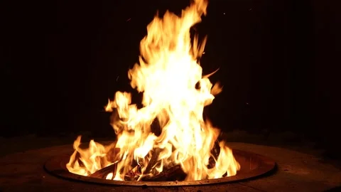 Blazing Campfire Stock Footage 235608258