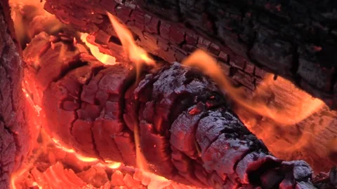 Blazing Campfire Stock Footage 327493933