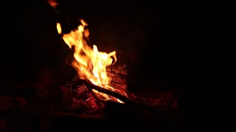 Blazing Campfire at Night Stock Footage 344034382