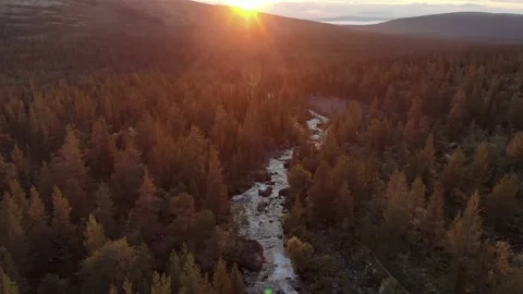 A blazing dawn interrupting the sleepy state of nature in the Khibiny mountains Stock Footage 164373533
