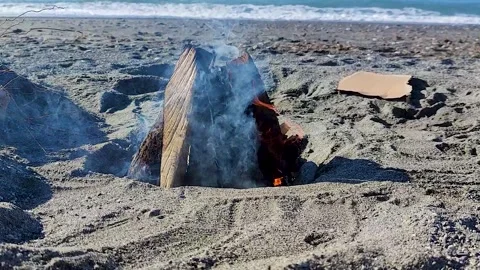 A blazing fire on the beach on a summer day. Fire in nature as a background.  Stock Footage 254021623