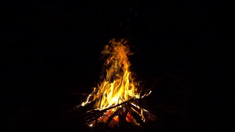 Blazing fire of campfire at evening, 8x 240 fps slow motion Stock Footage 86281119