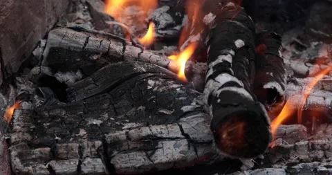 The blazing fire of the campfire. Stock Footage 149782815