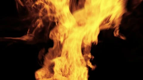 Blazing Fire Stock Footage 988321