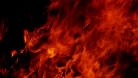 Blazing fire isolated on black background Stock Footage 99035405