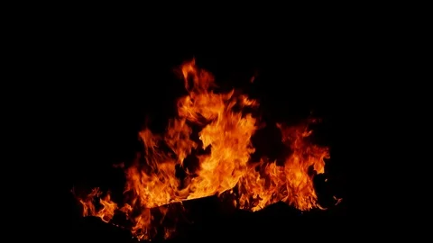 Blazing fire isolated on black background Stock Footage 99036813