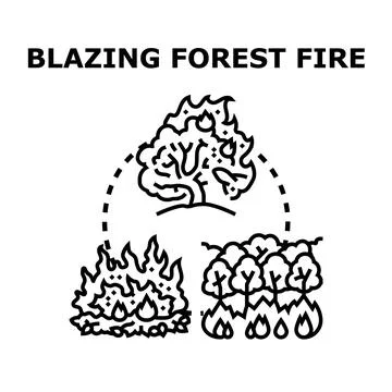 Blazing forest fire disaster destroying natural environment Stock Illustration