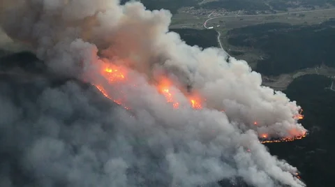 Blazing Forests 스톡 동영상 54751096