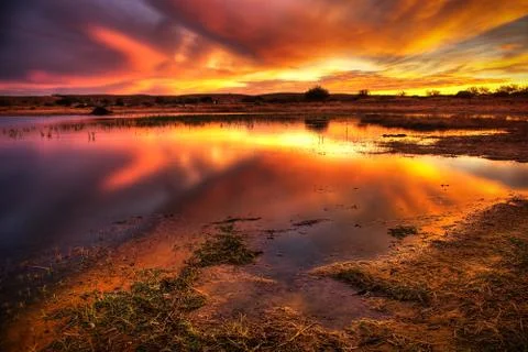Blazing sky Stock Photos