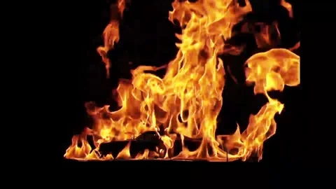 Blazing Wood Fire Flames Burning Isolated On Black Background Stock-Footage 340675802