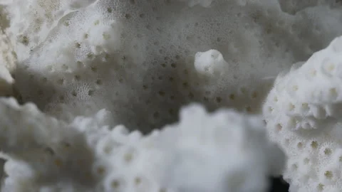 Bleached coral Stock Footage 132163795